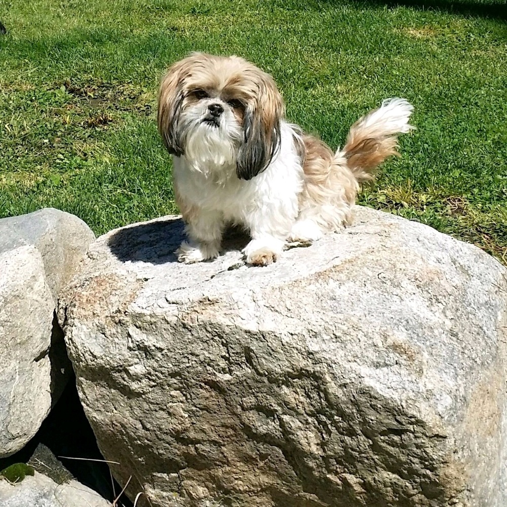 Meet your Posher, Rhonnie